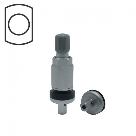 VALVULA TR420M205 (1UND)