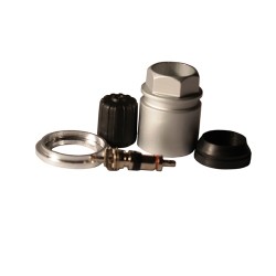 KIT MANTINIENTO VALV TPMS 65658