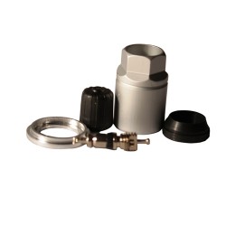 KIT MANTINIENTO VALV TPMS 65659